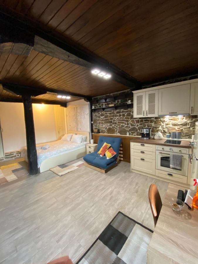 Studio Spring Villa Veliko Tărnovo Esterno foto