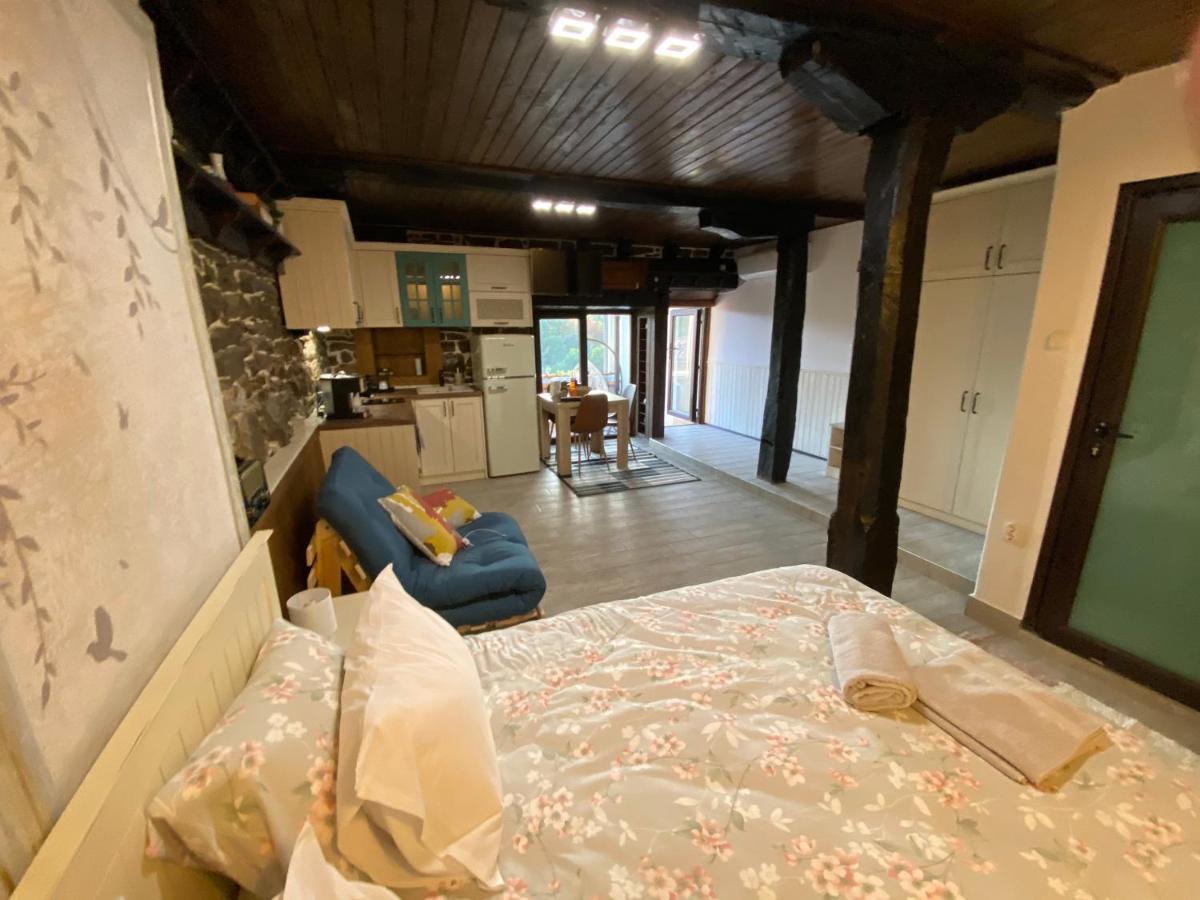Studio Spring Villa Veliko Tărnovo Esterno foto